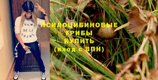 амф Балахна