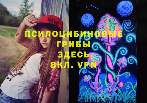 амф Балахна